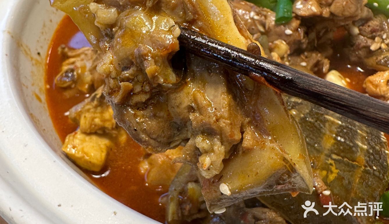 吃甲鱼的专门店  达人甲.砂锅甲鱼
