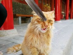 纪念品-西安碑林博物馆