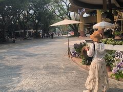 -西双版纳傣族园