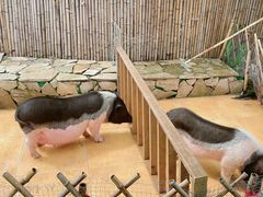 -HERRE·FARM 赫尔露营农场·团建聚会包场