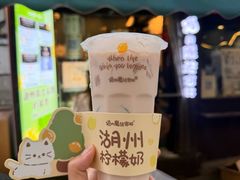 -猫的魔法密林(衣裳街店)