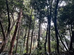 -白云山风景名胜区