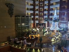 -深圳观澜格兰云天国际酒店