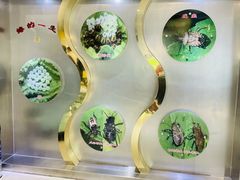 -上海昆虫博物馆