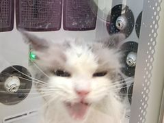 -FAELING PETS美天灵宠物(富力广场店)