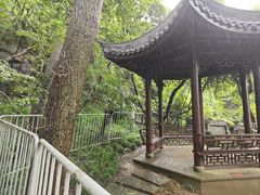 -九曜山