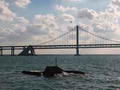 -星海湾跨海大桥