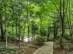 -上海佘山国家森林公园天马山园