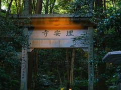 -虎跑公园
