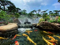 -罗红摄影艺术馆