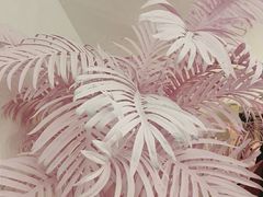 -X88商场(铜仁路店)