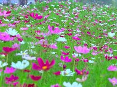 -北沙滩(地铁站)