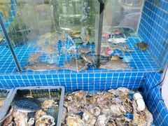 -富临港·蒸汽海鲜·手抓海鲜·炒菜(栈桥店)