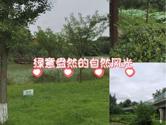 -白鹭湾湿地公园