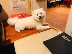-気楽亭和食料理(气乐亭大世界本店)
