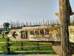 -田园东方蜜桃村的田野营地