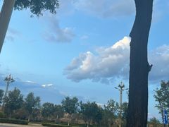 -牛背梁国家森林公园