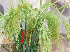 -橙天嘉禾影城(苏州印象城店)