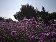 -云峰山自然风景区
