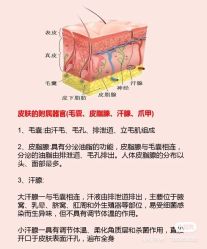 -海茱雅科技健康美容