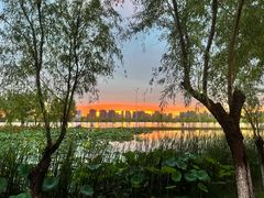 -艾溪湖湿地公园