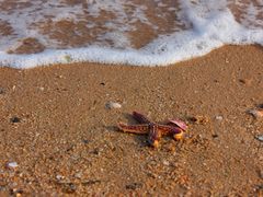 -东戴河风景区-止锚湾