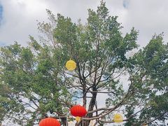 -鼓浪屿内厝澳码头(轮渡站)