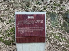 -仙霞关景区