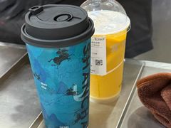 -雾与山茶(大禹城店)