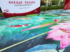 -东北大学附属辽宁爱尔眼科医院
