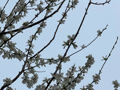 -南开大学(津南校区)