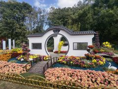 -上海共青森林公园