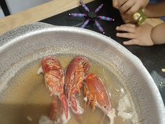 -桃夭日式料理(国信店)