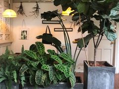 -大理老字号·舟渔的鱼野生菌海景餐厅(双廊店)