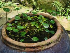 -东梓关景区村庄