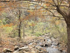 -秦岭终南山世界地质公园翠华山景区
