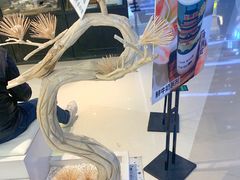 景观位-KUNCHA鲲茶·江西制茶(铜锣湾店)