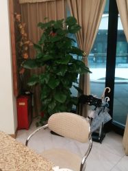 -芳朵美容养生SPA