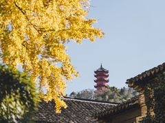 -惠山古镇·寄畅园