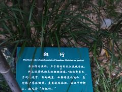 -杭州黄龙洞