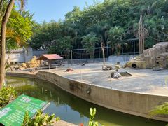 -广东茂名森林公园