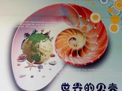 -青岛贝壳博物馆