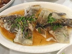 -小六农家乐(崇明西沙湿地店)