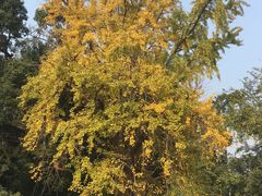 -溪口-滕头旅游景区