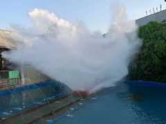-芜湖方特东方神画