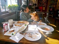 -百好乐宠物友好餐厅(朝外大街店)