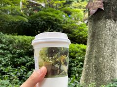 -茶颜悦色(岳麓山顶店)