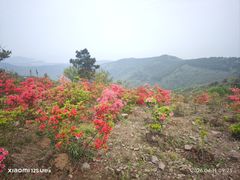 -缥缈峰景区