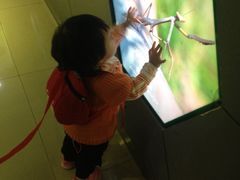 -上海昆虫博物馆