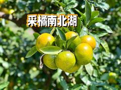 -南北湖风景区